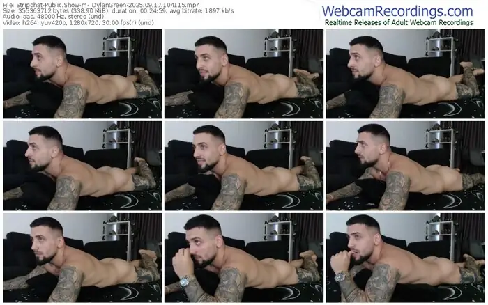2025/09/17/stripchat-_dylangreen-10-41-15