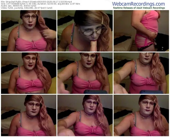 2025/09/17/stripchat-sseekcd420333-13-15-38