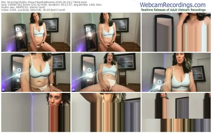 2025/09/18/stripchat-bonfirebonnie-17-36-04