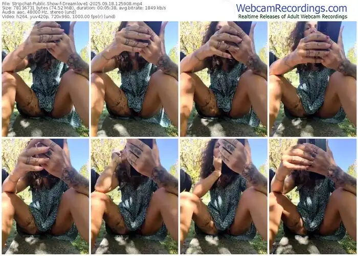 2025/09/18/stripchat-dreamlove1-12-59-08