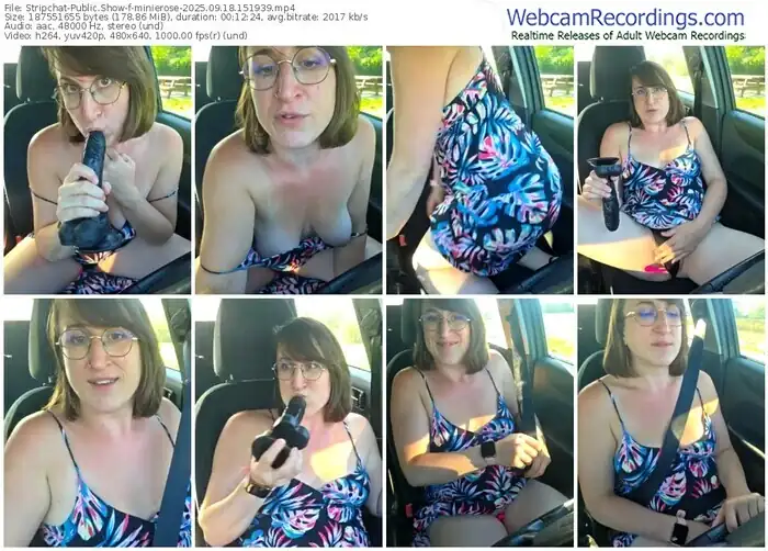 2025/09/18/stripchat-minierose-15-19-39