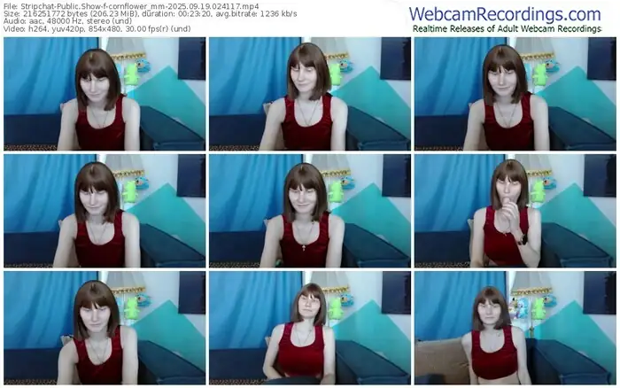 2025/09/19/stripchat-cornflower_mm-02-41-17