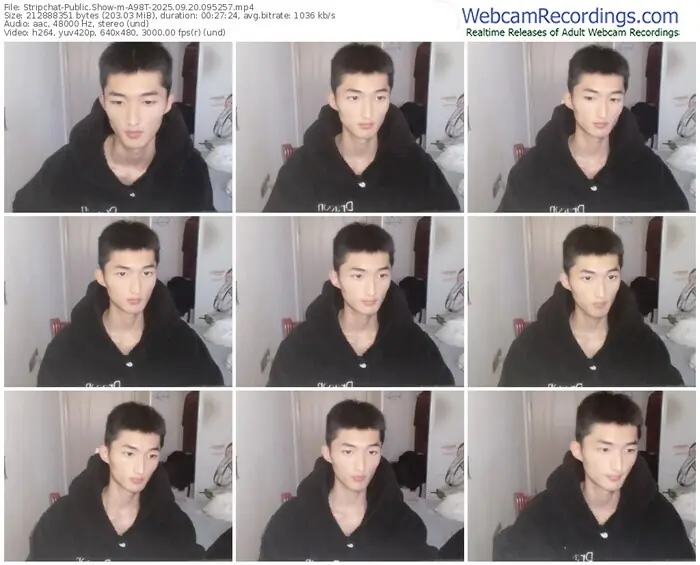 2025/09/20/stripchat-a98t-09-52-57