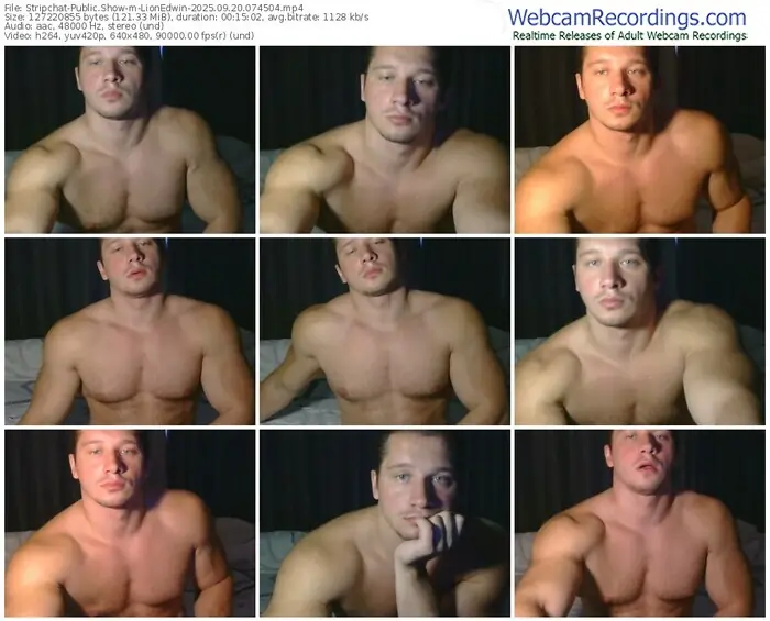 2025/09/20/stripchat-lionedwin-07-45-04