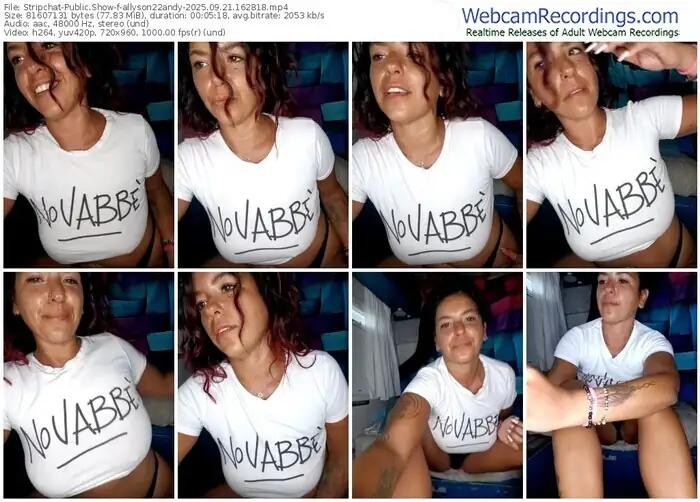 2025/09/21/stripchat-allyson22andy-16-28-18