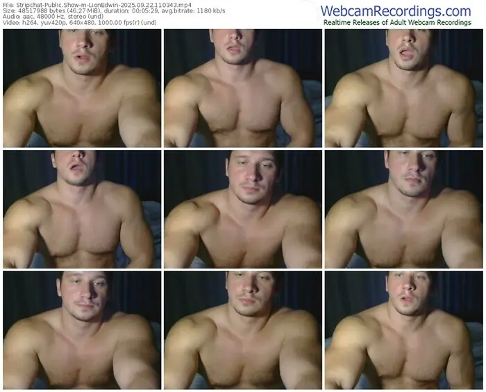 2025/09/22/stripchat-lionedwin-11-03-43