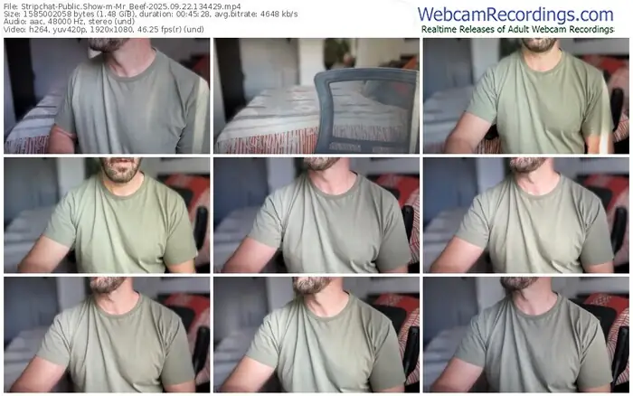 2025/09/22/stripchat-mr_beef-13-44-29
