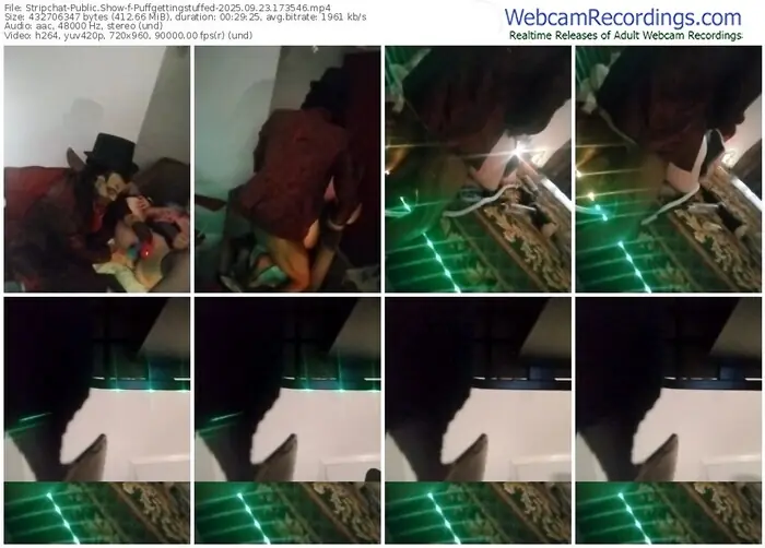 2025/09/23/stripchat-puffgettingstuffed-17-35-46