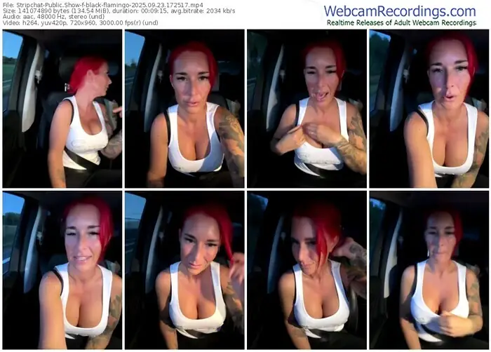 2025/09/23/stripchat-black-flamingo-17-25-17