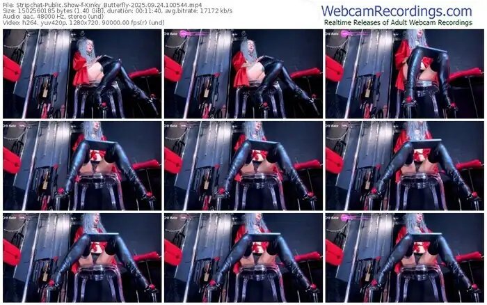2025/09/24/stripchat-kinky_butterfly-10-05-44