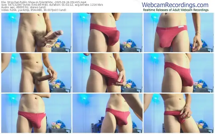 2025/09/24/stripchat-tylerwhite_-05-14-15