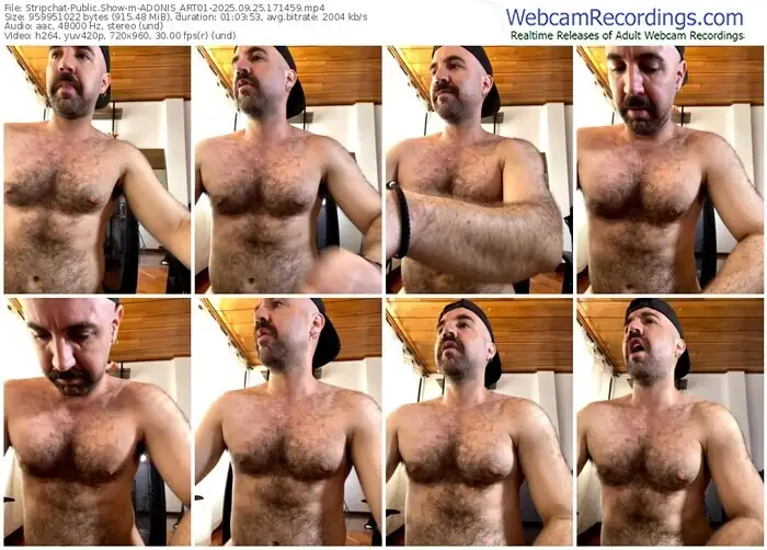 2025/09/25/stripchat-adonis_art01-17-14-59