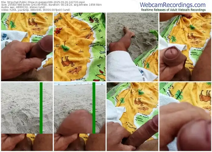2025/09/26/stripchat-pegaso369-14-27-20