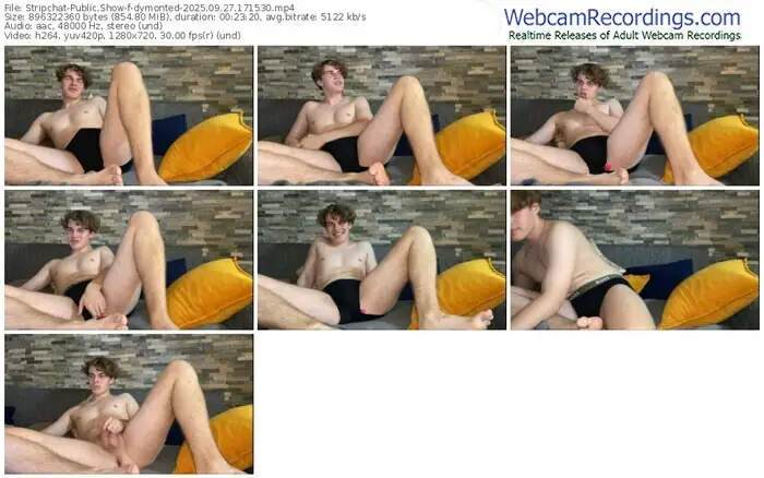 2025/09/27/stripchat-dymonted-17-15-30