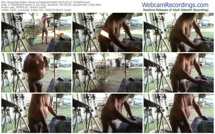 2025/09/27/stripchat-herbie010666-05-49-48