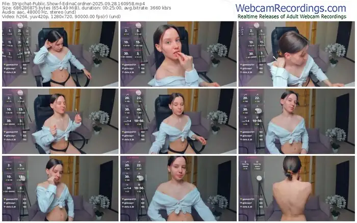 2025/09/28/stripchat-edinacordner-16-09-58