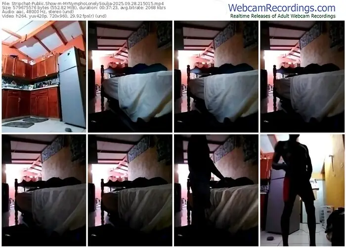 2025/09/28/stripchat-mrnympholonelysoulja-21-50-15