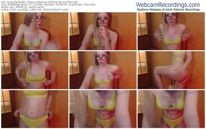 2025/09/28/stripchat-giltikuss-22-20-59