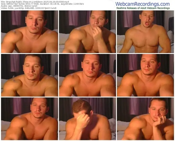 2025/09/29/stripchat-lionedwin-05-43-08