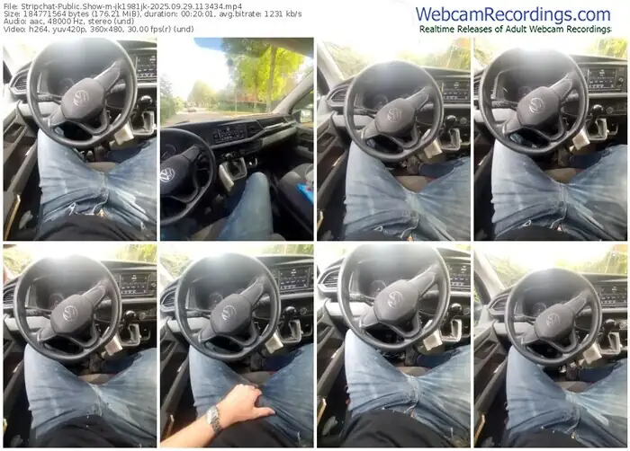 2025/09/29/stripchat-jk1981jk-11-34-34