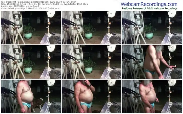 2025/09/30/stripchat-herbie010666-09-40-41