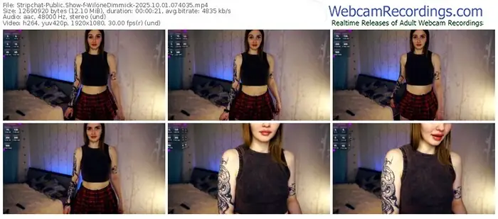 2025/10/01/stripchat-wilonedimmick-07-40-35