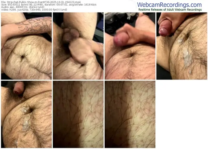 2025/10/01/stripchat-dan8736-23-41-23