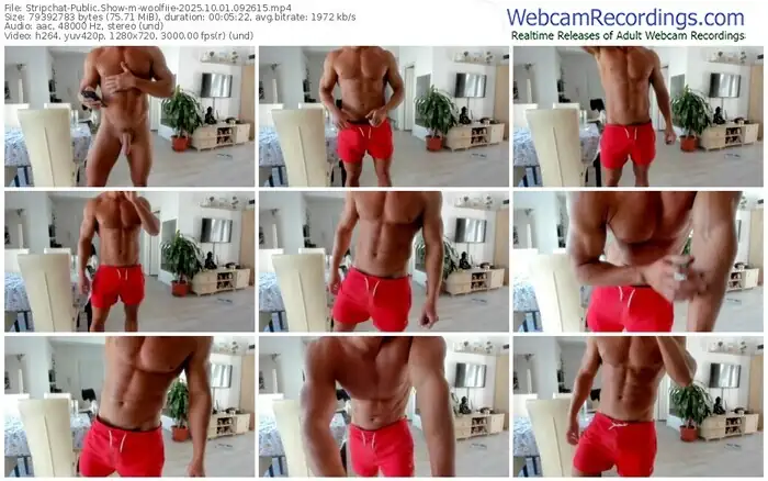 2025/10/01/stripchat-woolfiie-09-26-15