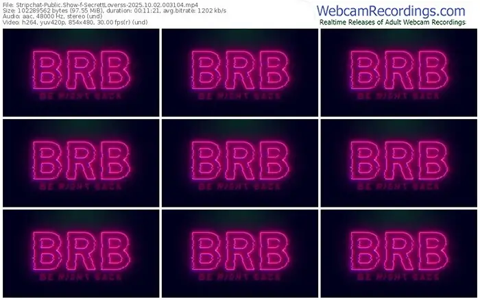 2025/10/02/stripchat-secrettloverss-00-31-04