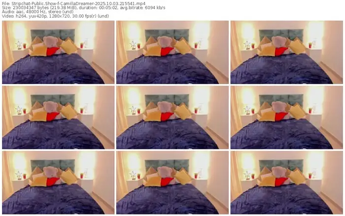 2025/10/03/stripchat-camilladreamer-21-55-41