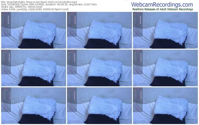 2025/10/03/stripchat-bd_black-18-16-52