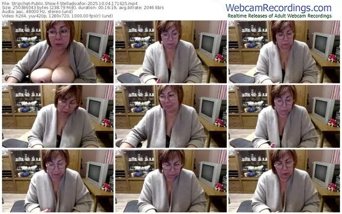 2025/10/04/stripchat-stelladivafox-17-16-25