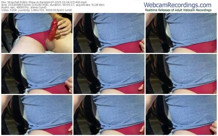 2025/10/04/stripchat-randomgt-07-14-00