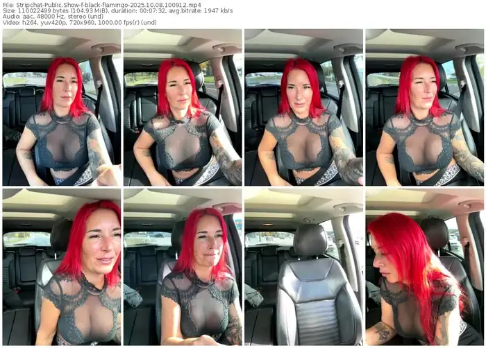 2025/10/08/stripchat-black-flamingo-10-09-12