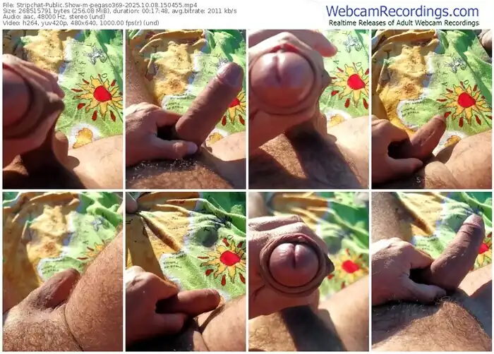 2025/10/08/stripchat-pegaso369-15-04-55