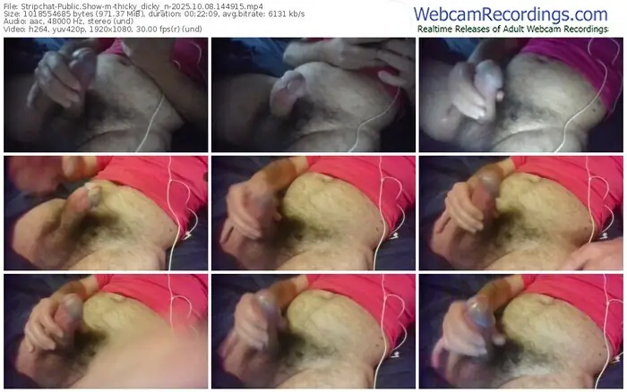 2025/10/08/stripchat-thicky_dicky_n-14-49-15