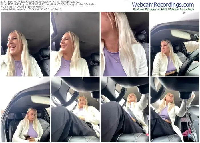 2025/10/09/stripchat-merlindave-06-46-04