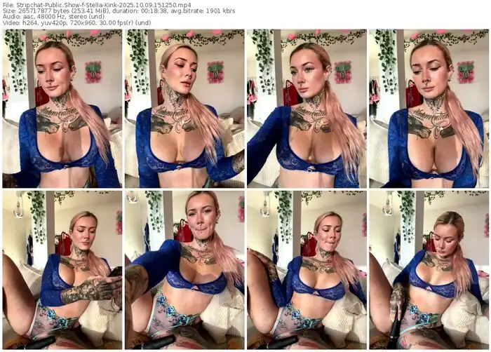 2025/10/09/stripchat-stella-kink-15-12-50