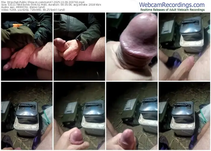 2025/10/09/stripchat-common47-20-37-02