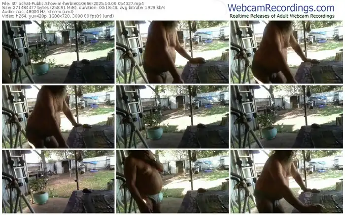 2025/10/09/stripchat-herbie010666-05-43-27