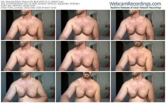 2025/10/11/stripchat-mr_beef-15-56-27