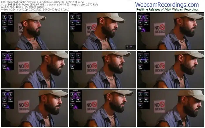 2025/10/12/stripchat-hairyrobxxx-22-16-31