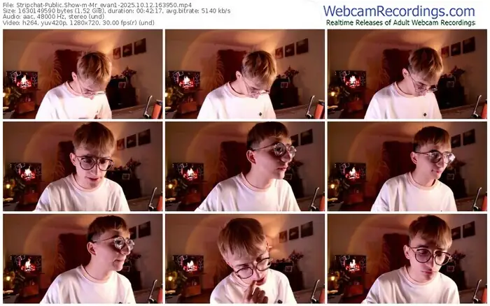 2025/10/12/stripchat-mr_evan1-16-39-50