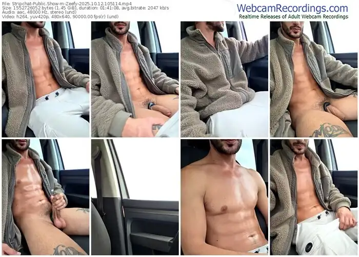 2025/10/12/stripchat-zeefy-10-51-14