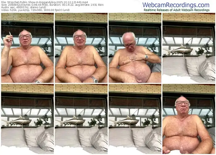 2025/10/12/stripchat-biggandybig-12-14-43