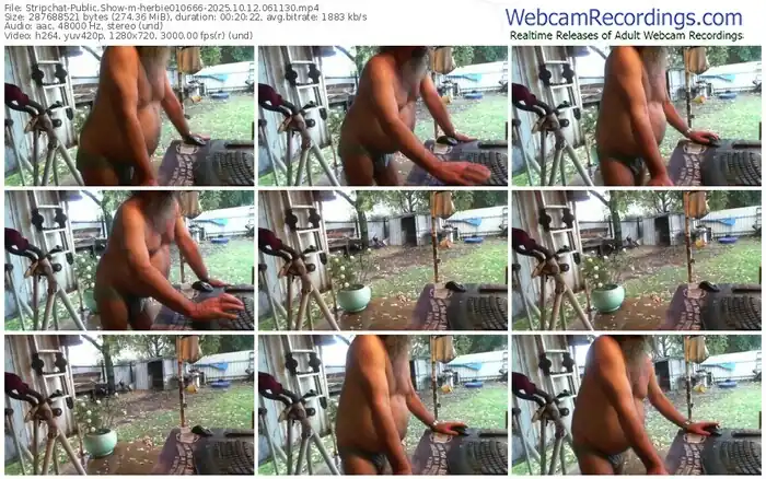 2025/10/12/stripchat-herbie010666-06-11-30