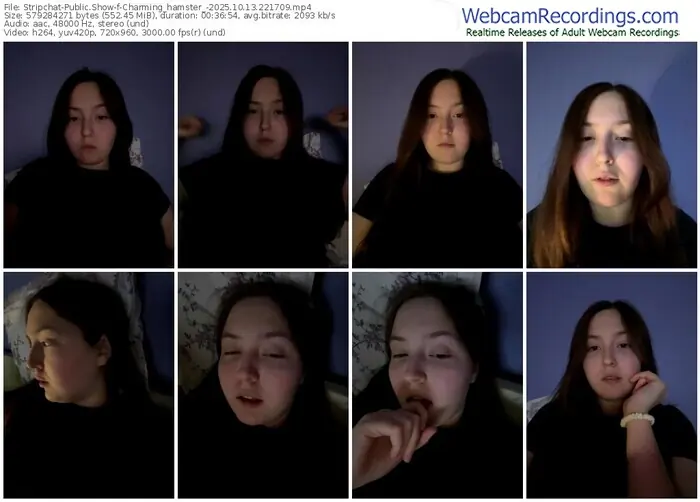 2025/10/13/stripchat-charming_hamster_-22-17-09