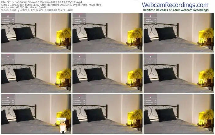 2025/10/13/stripchat-gikarerra-23-55-12