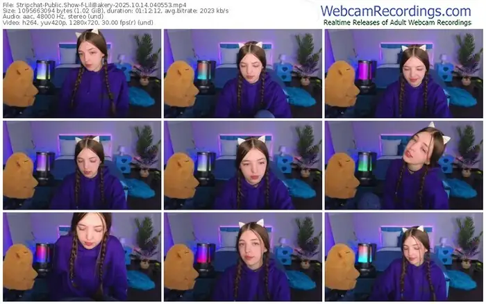 2025/10/14/stripchat-lilibakery-04-05-53