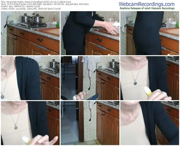 2025/10/14/stripchat-venered-11-28-04